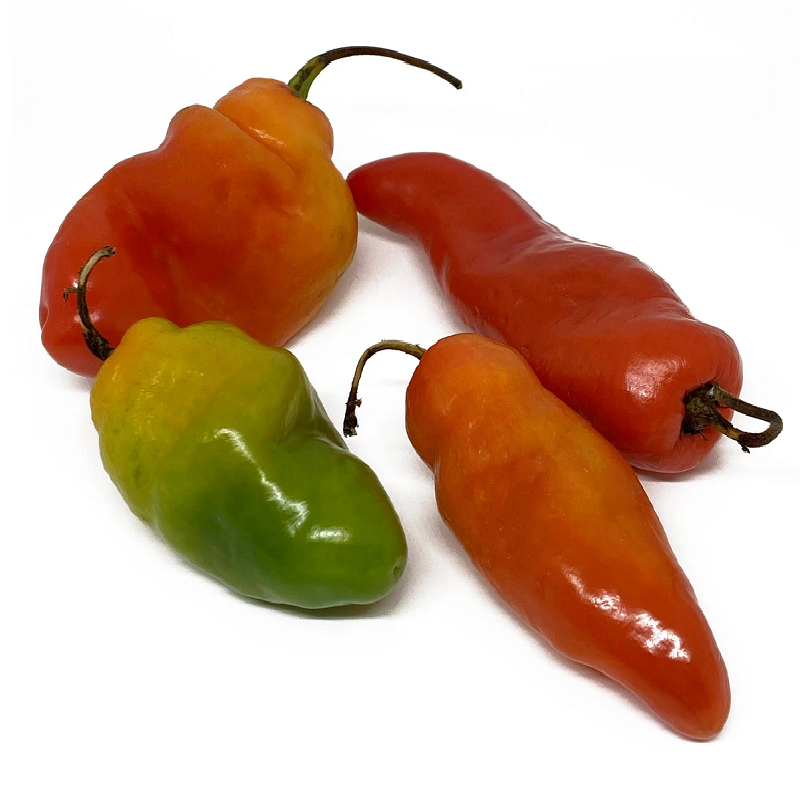 Bilde av SAZONADOR PICANTE LOCOTO KORR DISPLAY 30 stk 240g.